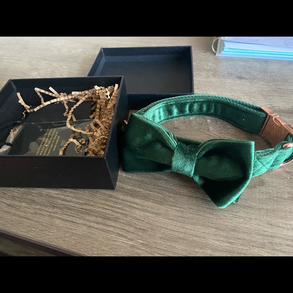 Brand new tie dog collar